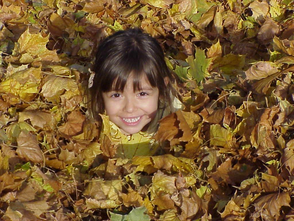 Kaila Ann Hewer Fall 2000