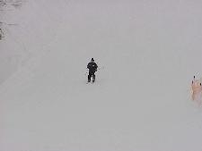 Skiing 2003
